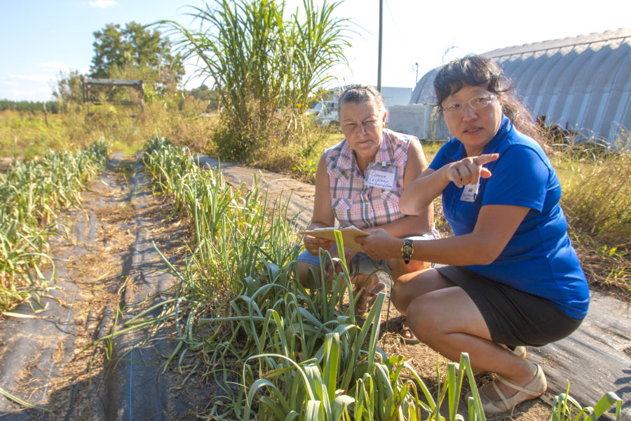Two women crouch in a field of green onion crops, discussing plant growth. One woman in a blue shirt is pointing while the other takes notes.