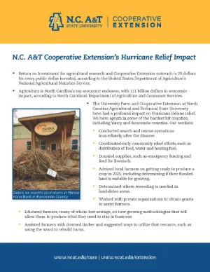 A pile of debris sits in front of the entrance to a building labeled “Nana’s House” with a caption noting it was taken six months after Hurricane Matthew in Robeson County, NC.