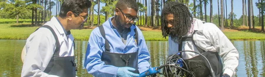 Three men standing knee-deep in water while conducting agricultural research.